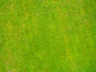 Similar image 11513817