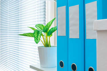 Similar image 11755228