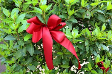 Similar image 11590869