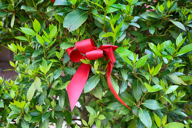 Similar image 11590871