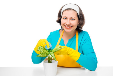 Similar image 11755239