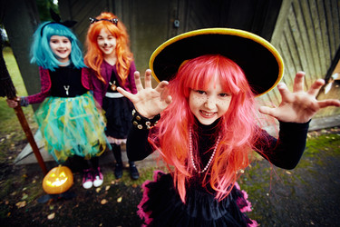 Similar image 11513037