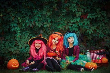 Similar image 11513042