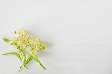 Similar image 11592216