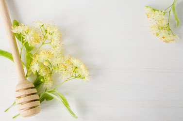 Similar image 11592222