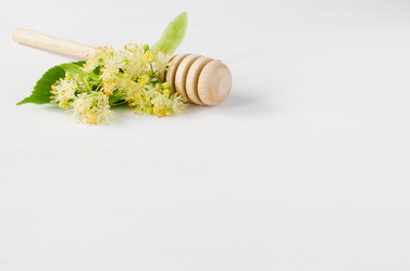 Similar image 11592228