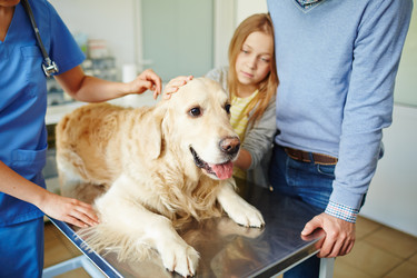 Similar image 11513147