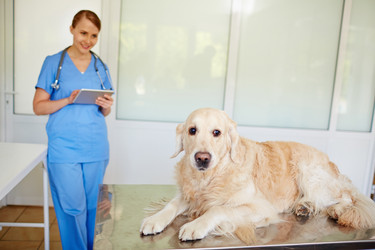 Similar image 11513149