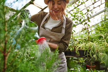 Similar image 11513210