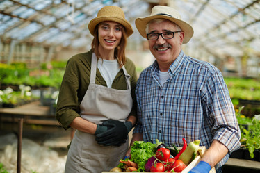 Similar image 11513215