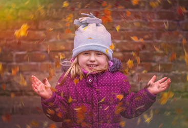 Similar image 11591890