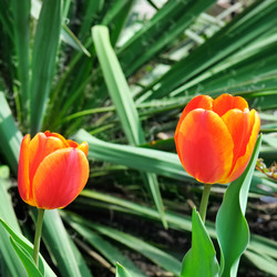 Similar image 11697807