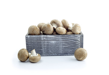 Similar image 11614714