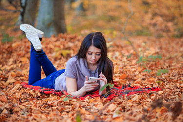 Similar image 11697230