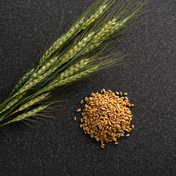 Similar image 11606850