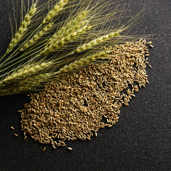 Similar image 11607990