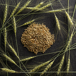 Similar image 11607993