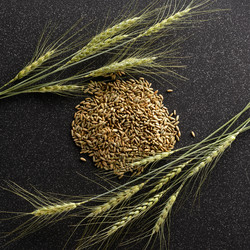 Similar image 11607996