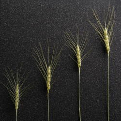 Similar image 11607998