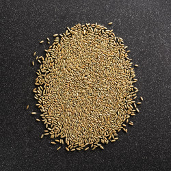 Similar image 11608000