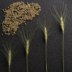 Similar image 11608006