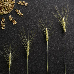 Similar image 11608009