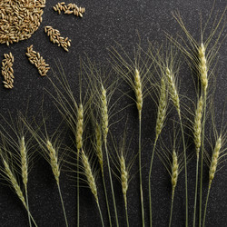 Similar image 11608935