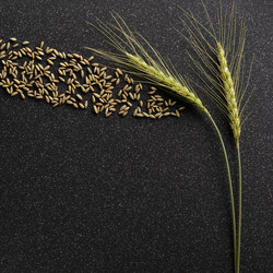 Similar image 11608940