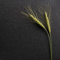 Similar image 11608942