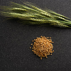 Similar image 11608951