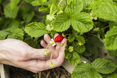 Similar image 11608012