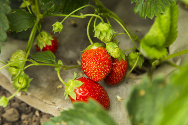 Similar image 11608015