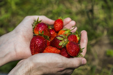 Similar image 11608022