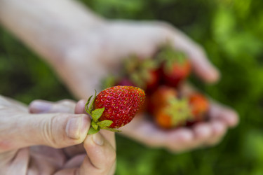 Similar image 11608025