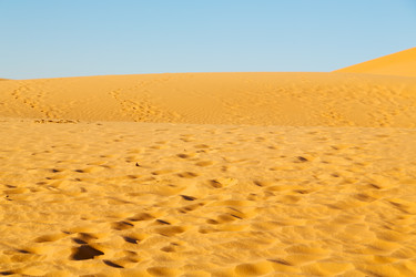 Similar image 11689938