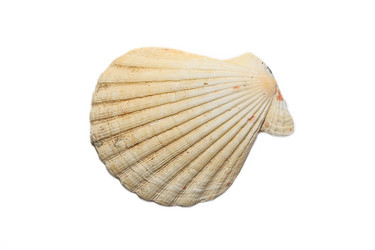 Similar image 11608027