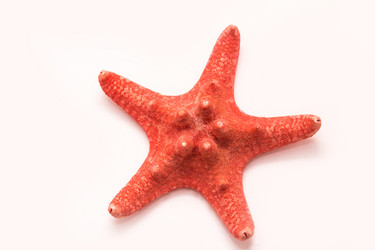 Similar image 11608030