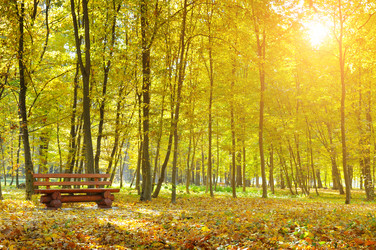 Similar image 11754898