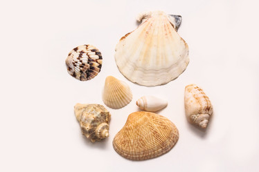 Similar image 11608032