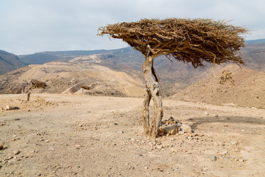 Similar image 11754138