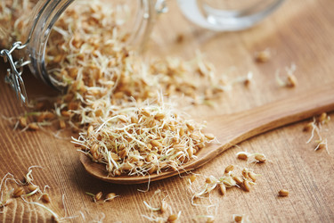 Similar image 11617805