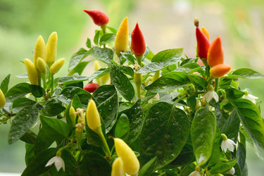 Similar image 11753782