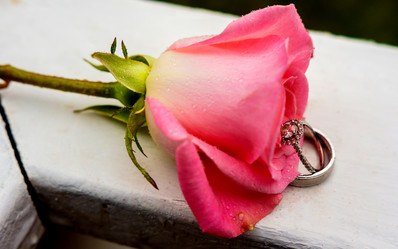 Similar image 11754439