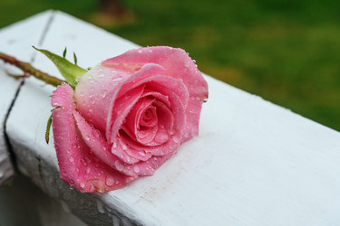 Similar image 11754442