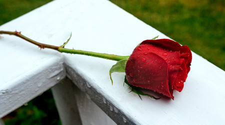 Similar image 11754452