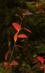 Similar image 11678460