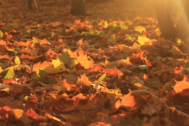 Similar image 11678467