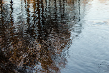 Similar image 11678471