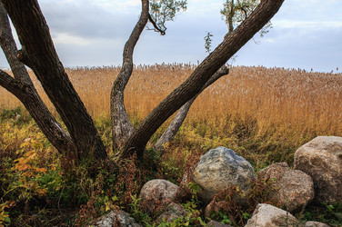 Similar image 11678474