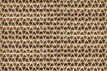 Similar image 11754411